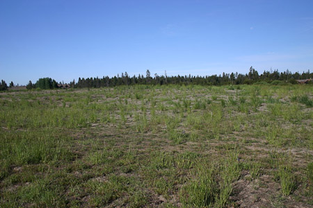 Meadow OK in Most Areas