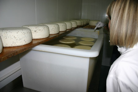Aging Cheese