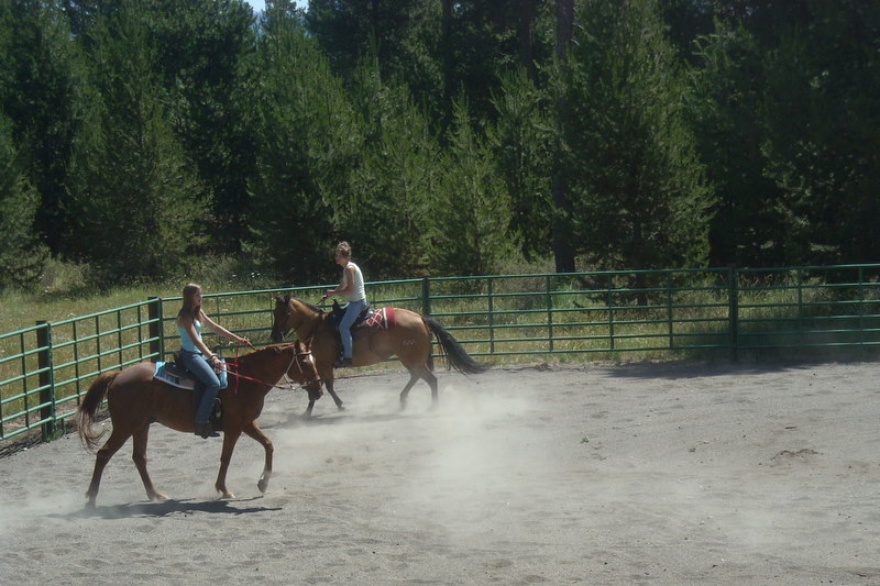 Girls riding horses in arena