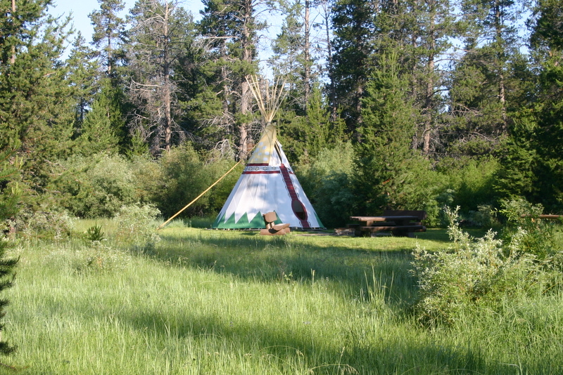 Teepee Tipi Tepee Trees